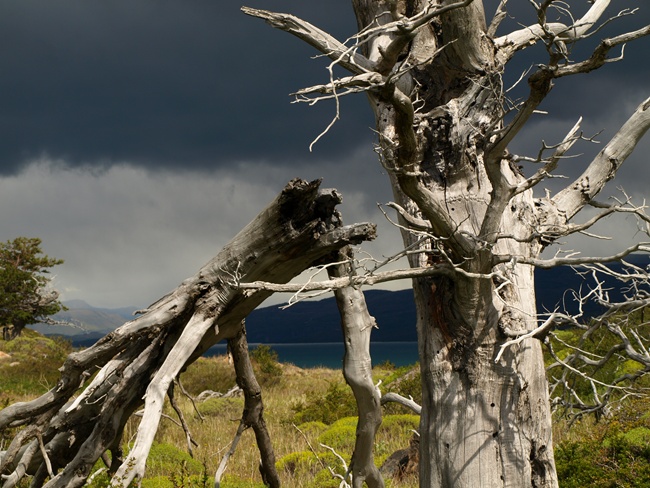 ../../Pictures/240110/021 Torres del Paine Park.JPG